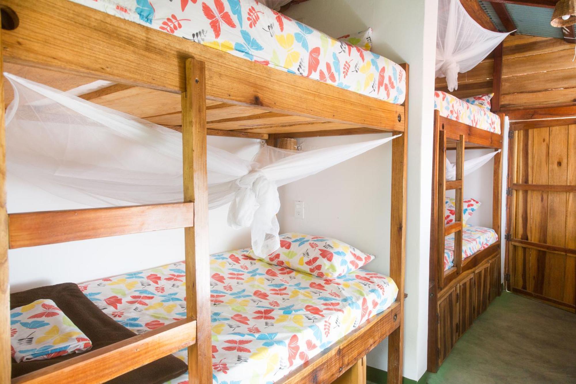 Mundo Nuevo Eco Lodge 민카 객실 사진