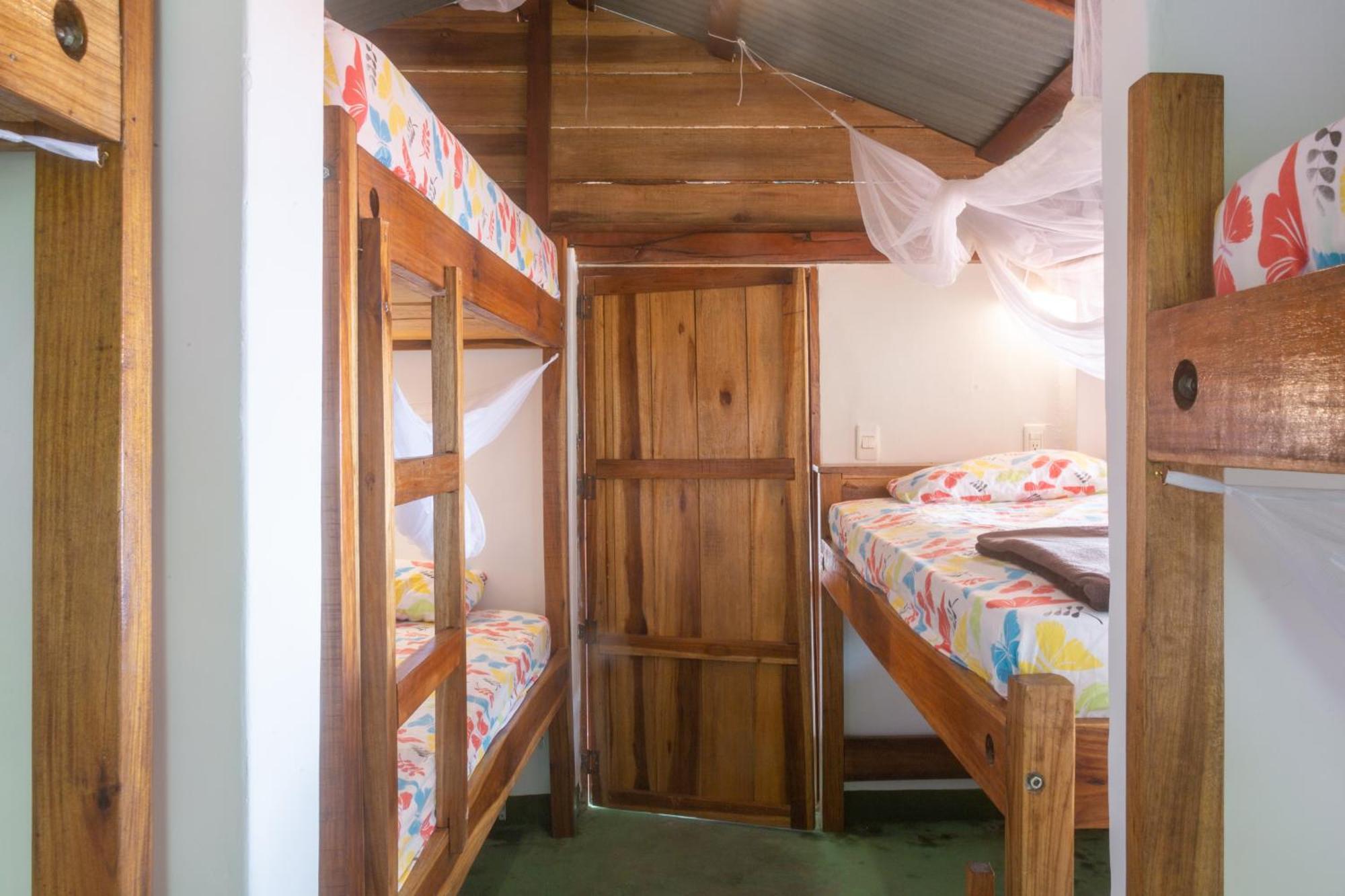 Mundo Nuevo Eco Lodge 민카 객실 사진